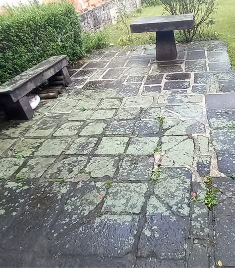Toiture avant démoussage